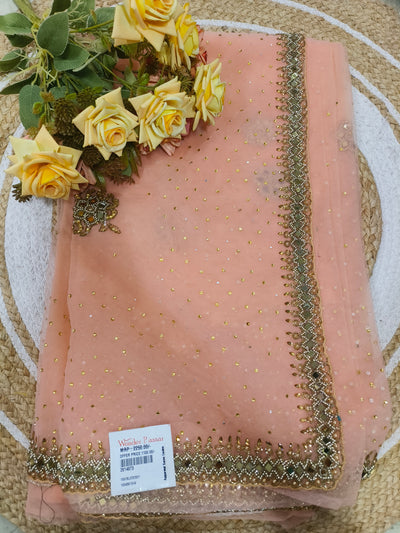 Elegant Peach Net Saree with Exquisite Mirror Work Border