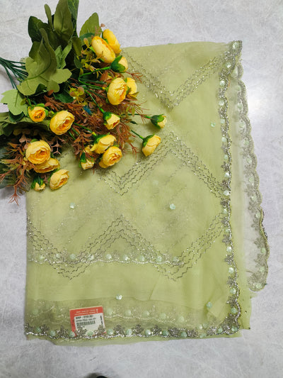 Ethereal Lime Green Net Saree with Silver Sequin Zig-Zag Embroidery