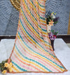Vibrant Rainbow Wavy Stripe Georgette Saree with Sequin Border