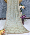 Elegant Pista Green Tissue Saree | Hand Embellished Cutwork & Sequin